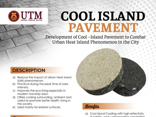 Cool Island Pavement