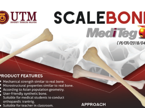 ScaleBone