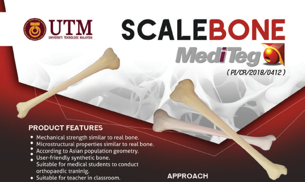 ScaleBone