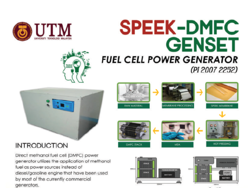 SPEEK-DMFC GENSET