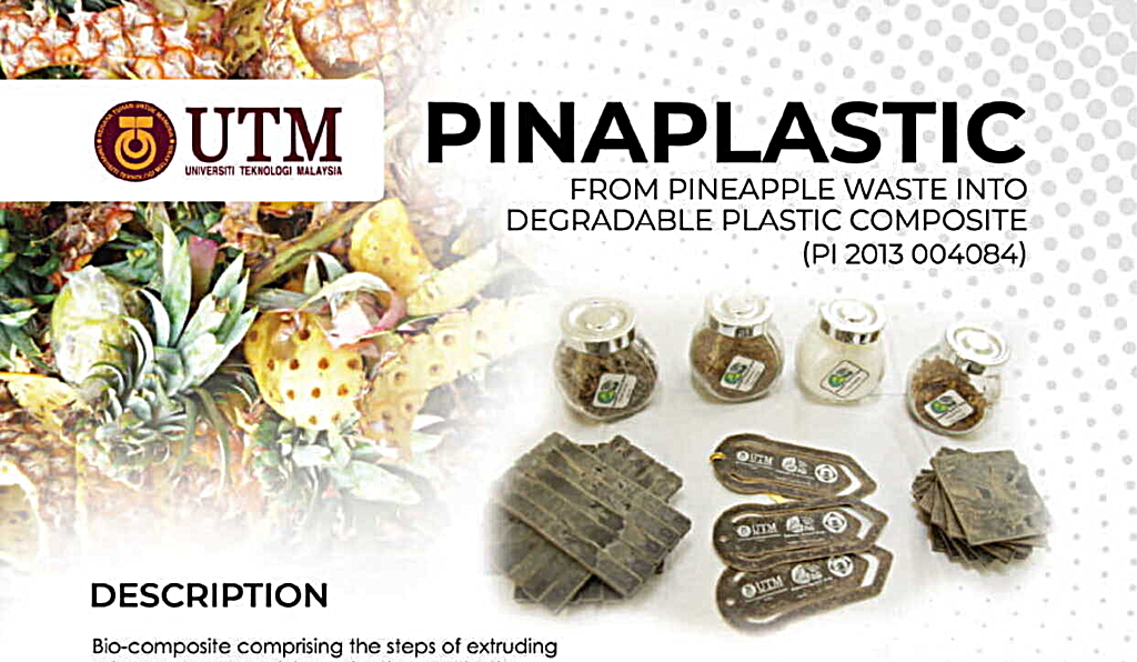 PINAPLASTIC